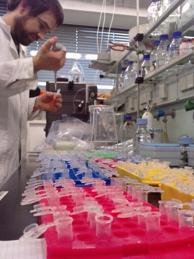 Dr.Guillem Rocasalbas